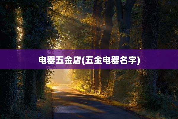 电器五金店(五金电器名字)