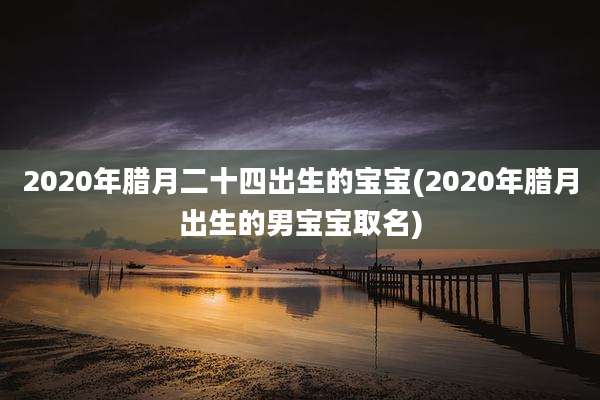 2020年腊月二十四出生的宝宝(2020年腊月出生的男宝宝取名)