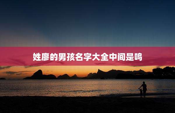姓廖的男孩名字大全中间是鸣