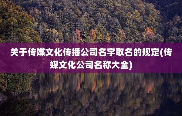 关于传媒文化传播公司名字取名的规定(传媒文化公司名称大全)