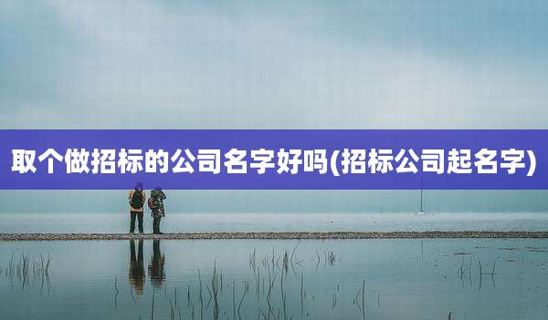 取个做招标的公司名字好吗(招标公司起名字)