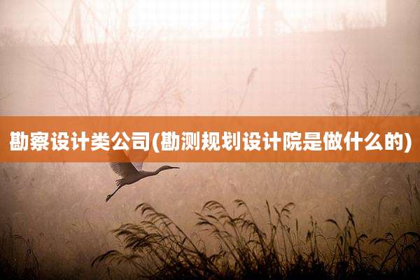 勘察设计类公司(勘测规划设计院是做什么的)