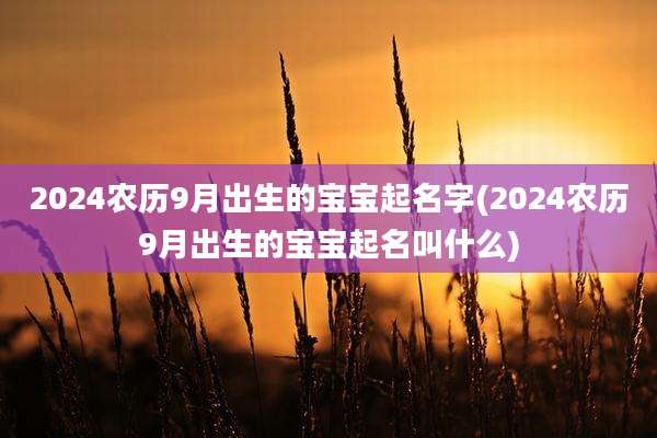 2024农历9月出生的宝宝起名字(2024农历9月出生的宝宝起名叫什么)