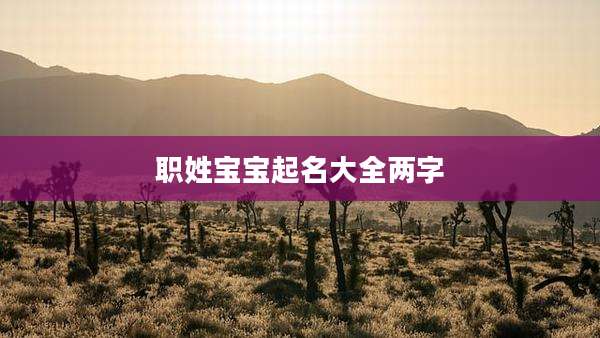 职姓宝宝起名大全两字