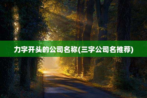 力字开头的公司名称(三字公司名推荐)