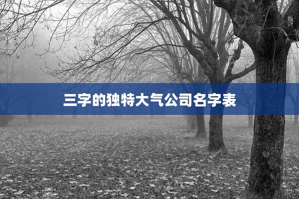 三字的独特大气公司名字表