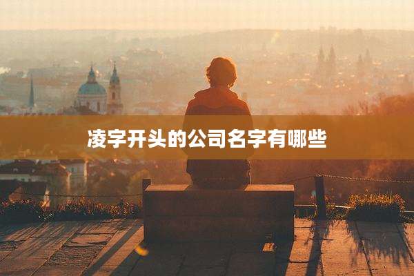 凌字开头的公司名字有哪些