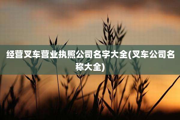 经营叉车营业执照公司名字大全(叉车公司名称大全)