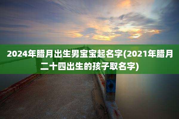 2024年腊月出生男宝宝起名字(2021年腊月二十四出生的孩子取名字)