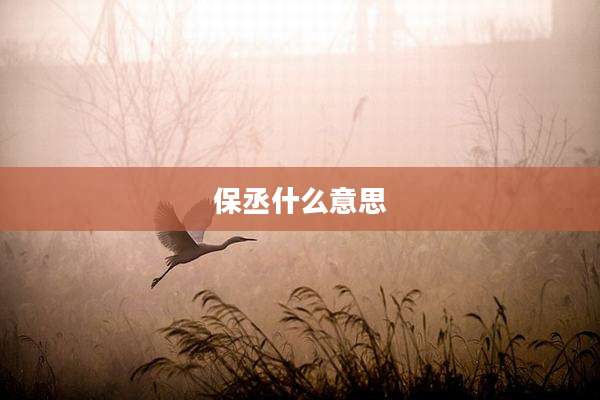 保丞什么意思
