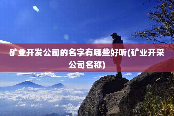 矿业开发公司的名字有哪些好听(矿业开采公司名称)