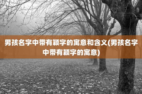 男孩名字中带有颖字的寓意和含义(男孩名字中带有颖字的寓意)