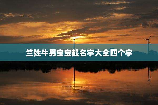 竺姓牛男宝宝起名字大全四个字