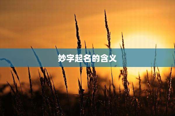 妙字起名的含义