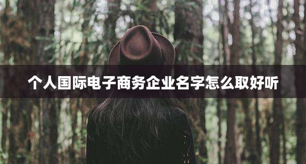 个人国际电子商务企业名字怎么取好听