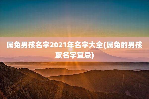 属兔男孩名字2021年名字大全(属兔的男孩取名字宜忌)