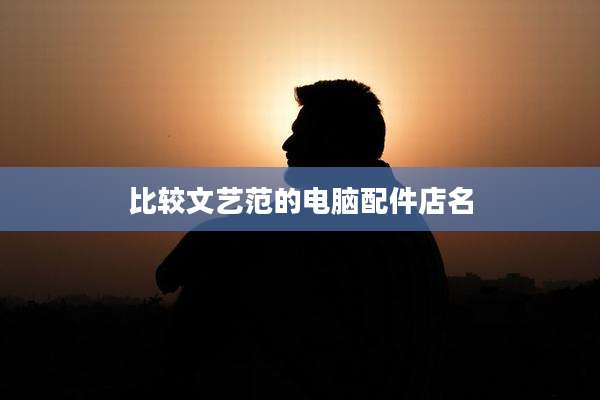 比较文艺范的电脑配件店名