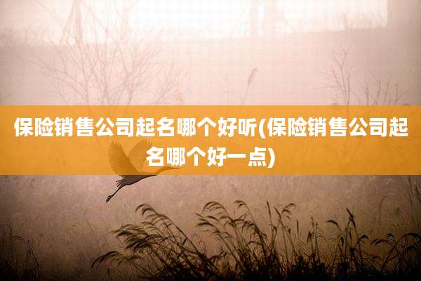 保险销售公司起名哪个好听(保险销售公司起名哪个好一点)