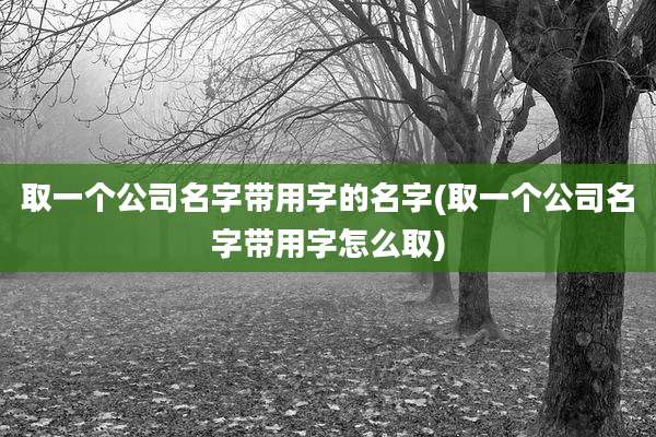 取一个公司名字带用字的名字(取一个公司名字带用字怎么取)