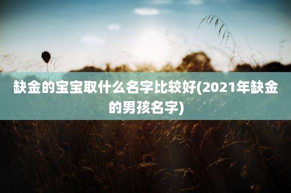 缺金的宝宝取什么名字比较好(2021年缺金的男孩名字)