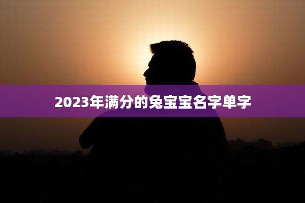 2023年满分的兔宝宝名字单字