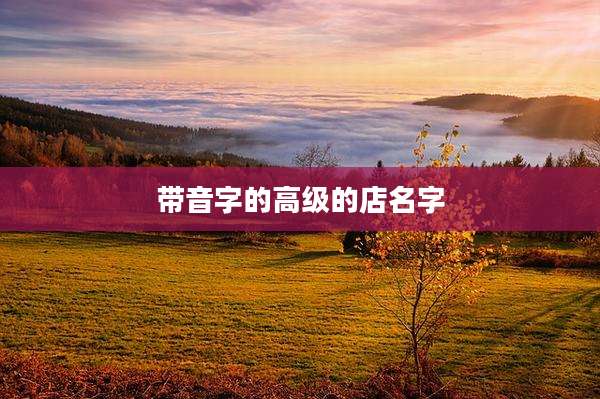 带音字的高级的店名字