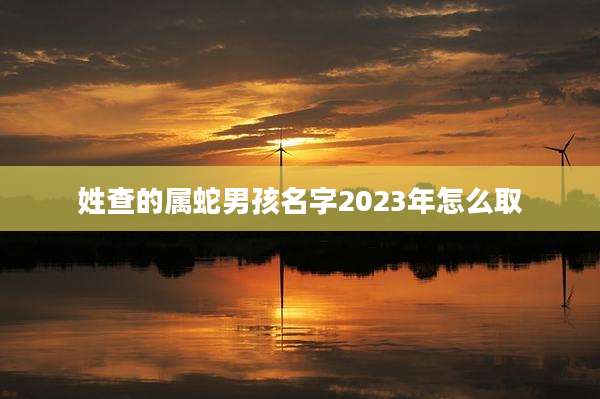 姓查的属蛇男孩名字2023年怎么取