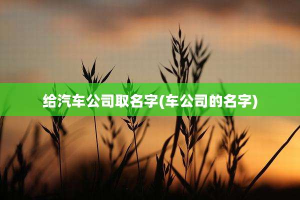 给汽车公司取名字(车公司的名字)