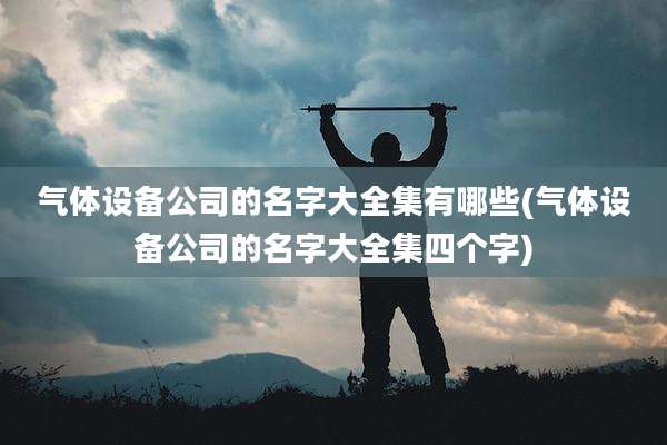 气体设备公司的名字大全集有哪些(气体设备公司的名字大全集四个字)