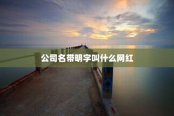 公司名带明字叫什么网红