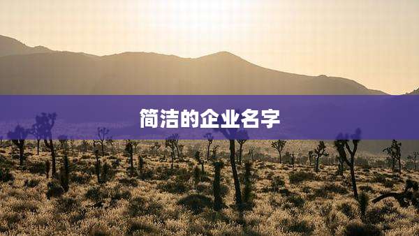 简洁的企业名字