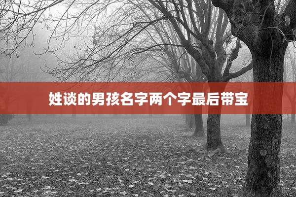 姓谈的男孩名字两个字最后带宝