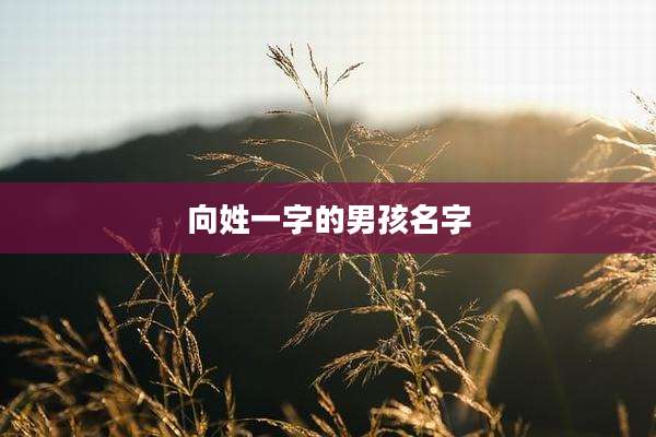 向姓一字的男孩名字