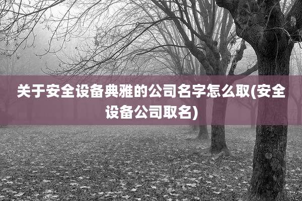 关于安全设备典雅的公司名字怎么取(安全设备公司取名)