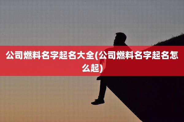 公司燃料名字起名大全(公司燃料名字起名怎么起)