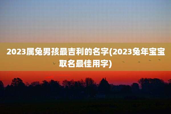2023属兔男孩最吉利的名字(2023兔年宝宝取名最佳用字)