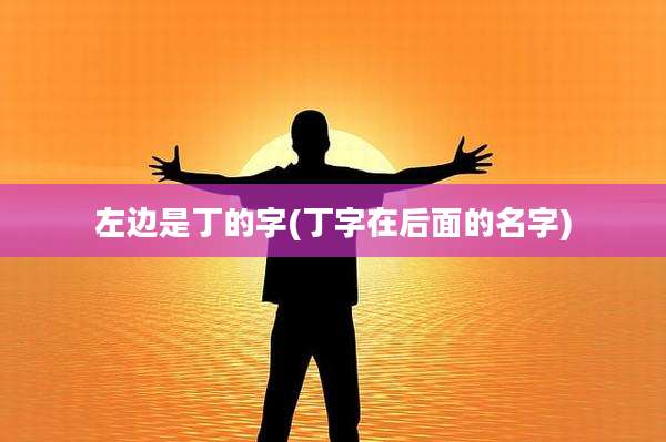 左边是丁的字(丁字在后面的名字)