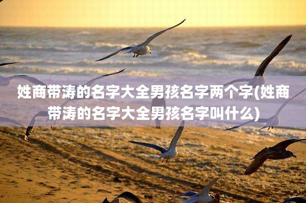 姓商带涛的名字大全男孩名字两个字(姓商带涛的名字大全男孩名字叫什么)