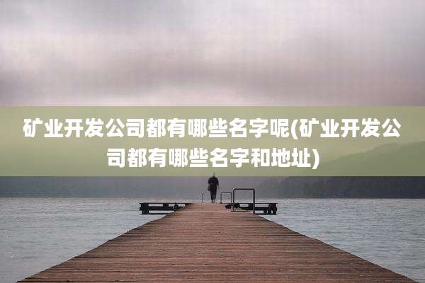 矿业开发公司都有哪些名字呢(矿业开发公司都有哪些名字和地址)