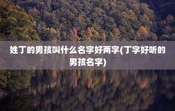 姓丁的男孩叫什么名字好两字(丁字好听的男孩名字)