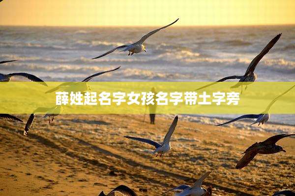 薛姓起名字女孩名字带土字旁