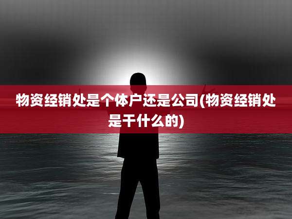物资经销处是个体户还是公司(物资经销处是干什么的)
