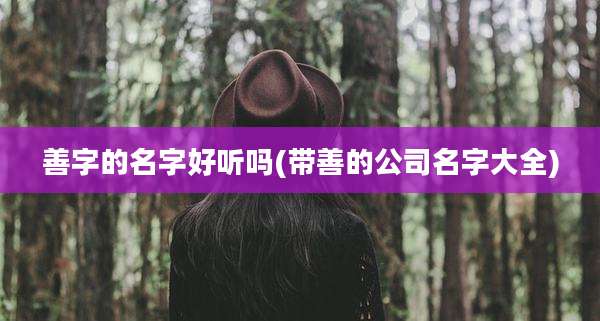 善字的名字好听吗(带善的公司名字大全)