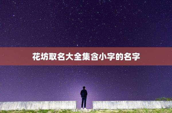 花坊取名大全集含小字的名字