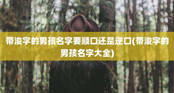 带浚字的男孩名字要顺口还是逆口(带浚字的男孩名字大全)