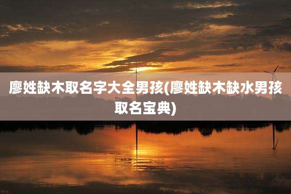 廖姓缺木取名字大全男孩(廖姓缺木缺水男孩取名宝典)