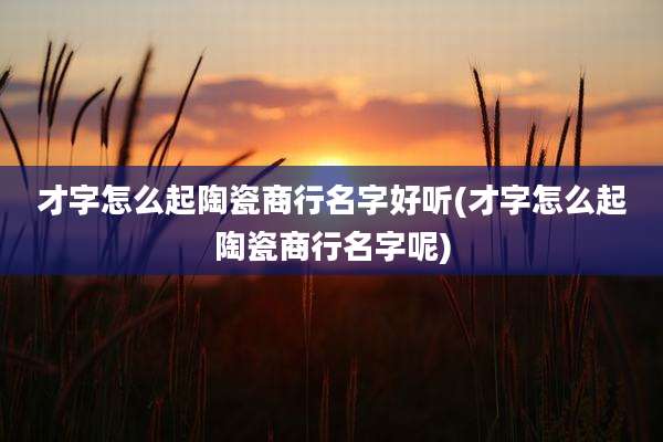 才字怎么起陶瓷商行名字好听(才字怎么起陶瓷商行名字呢)