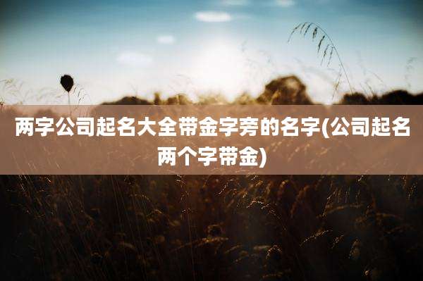 两字公司起名大全带金字旁的名字(公司起名两个字带金)
