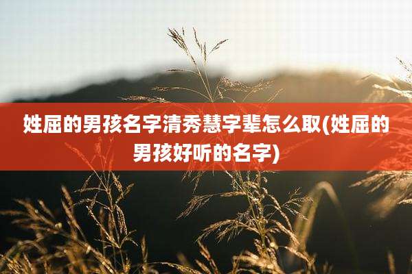 姓屈的男孩名字清秀慧字辈怎么取(姓屈的男孩好听的名字)