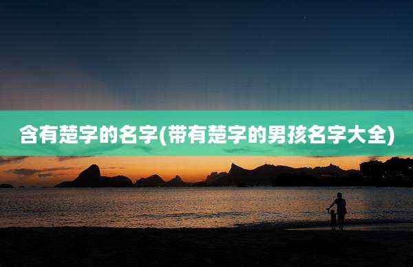 含有楚字的名字(带有楚字的男孩名字大全)